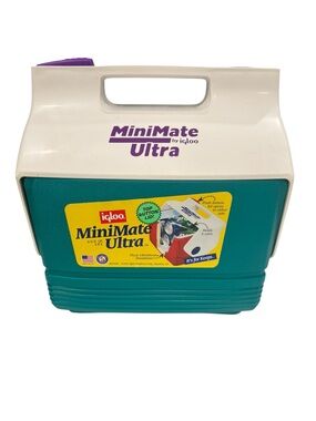 Vintage 1990s Mini Mate By Igloo Personal Cooler Teal Purple Ice Chest Small